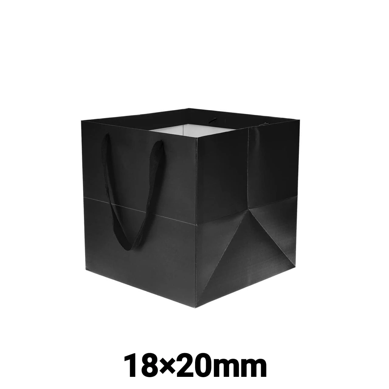 Shopping Paper Bags