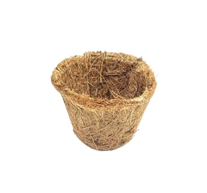 Coconut Cup