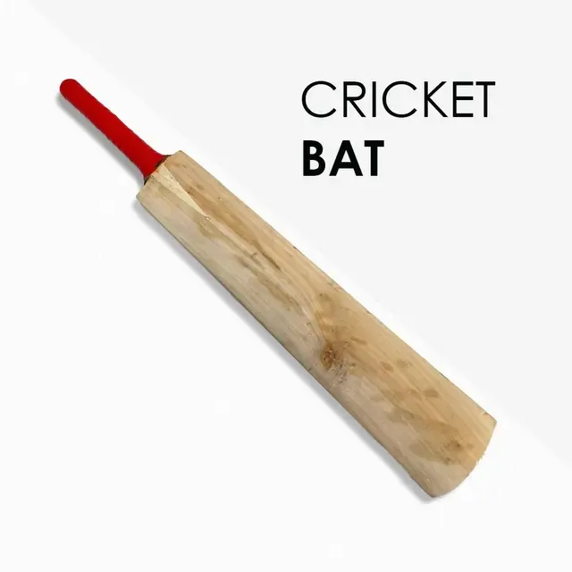 Standard Handle Poplar Willow Wooden Cricket Bat
